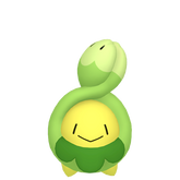 Shiny Budew in Legends of Arceus